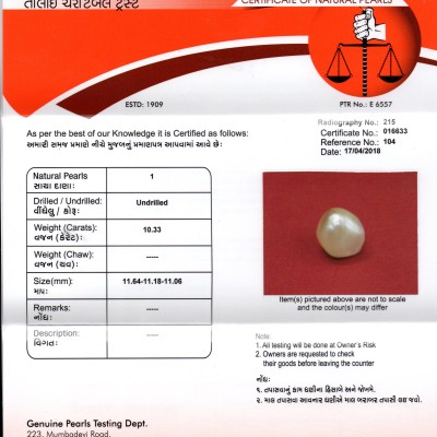 Huge 10.33 Ct Certified Natural Real Venunjula Pearl,Real moti Huge 10.33 Ct Certified Natural Real Venunjula Pearl,Real moti