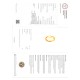 3.04 Ct IGI Certified Unheated Untreated Natural Ceylon Yellow Sapphire 3.04 Ct IGI Certified Unheated Untreated Natural Ceylon Yellow Sapphire
