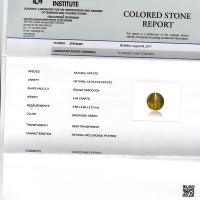 4.64 Ct IGI Certified Untreated Natural Ceylon Cats Eye Apatite 4.64 Ct IGI Certified Untreated Natural Ceylon Cats Eye Apatite