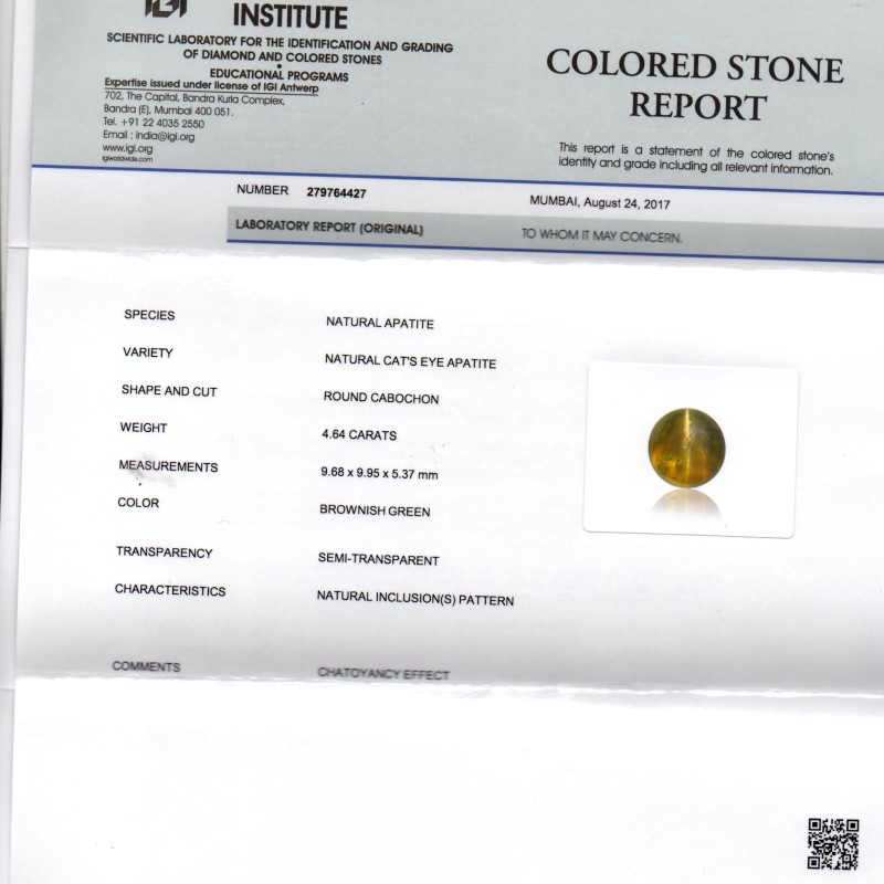 4.64 Ct IGI Certified Untreated Natural Ceylon Cats Eye Apatite 4.64 Ct IGI Certified Untreated Natural Ceylon Cats Eye Apatite