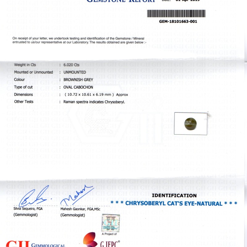 6.02 Ct GII Certified Untreated Natural Chrysoberyl Kanak Khet Cats Eye 6.02 Ct GII Certified Untreated Natural Chrysoberyl Kanak Khet Cats Eye