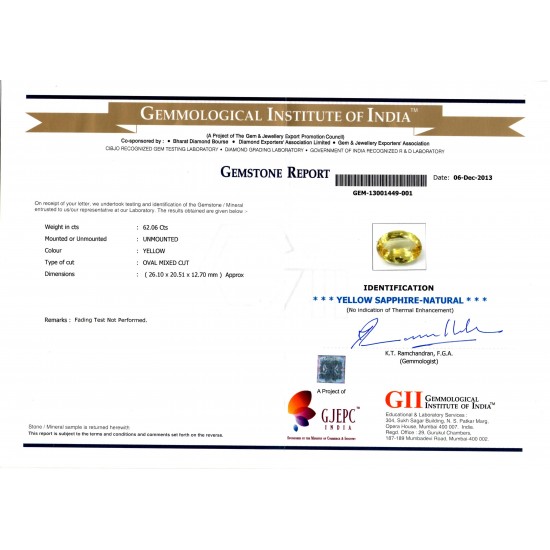 Huge 62.06 Ct GII Certified Unheated Untreated Natural Ceylon Yellow Sapphire **RARE**