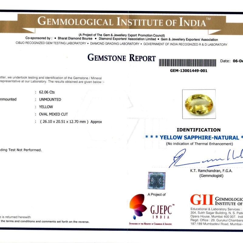 Huge 62.06 Ct GII Certified Unheated Untreated Natural Ceylon Yellow Sapphire **RARE** Huge 62.06 Ct GII Certified Unheated Untreated Natural Ceylon Yellow Sapphire **RARE**