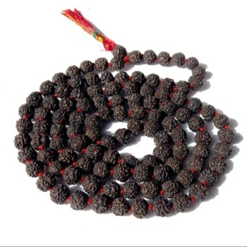 5 Mukhi Rudraksha Japa Mala 108 Beads 6mm 5 Mukhi Rudraksha Japa Mala 108 Beads 6mm
