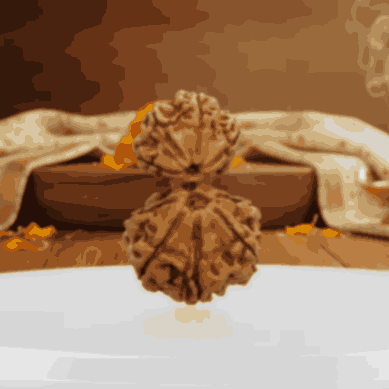 Garbh Gauri Shankar Nepali Rudraksh Natural and Certified