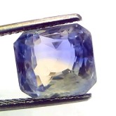 Pitambari Sapphire-Bicolour