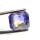 Pitambari Sapphire-Bicolour