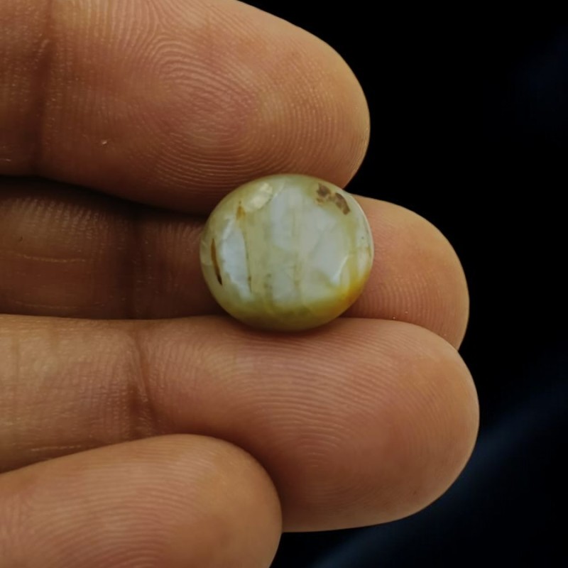 Huge 15.69 Ct Certified Untreated Natural Chrysoberyl Cats Eye Lehsunia AA Huge 15.69 Ct Certified Untreated Natural Chrysoberyl Cats Eye Lehsunia AA
