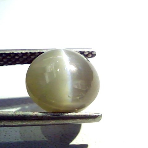 3.61 Ct Certified Untreted Natural Chrysoberyl Cats Eye,Lehsunia