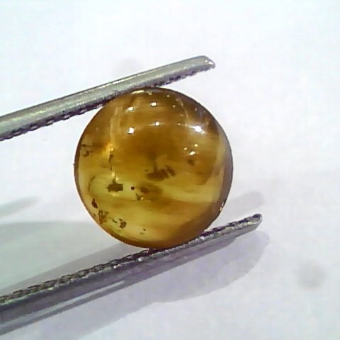 4.64 Ct IGI Certified Untreated Natural Ceylon Cats Eye Apatite