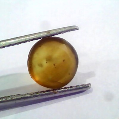 4.64 Ct IGI Certified Untreated Natural Ceylon Cats Eye Apatite