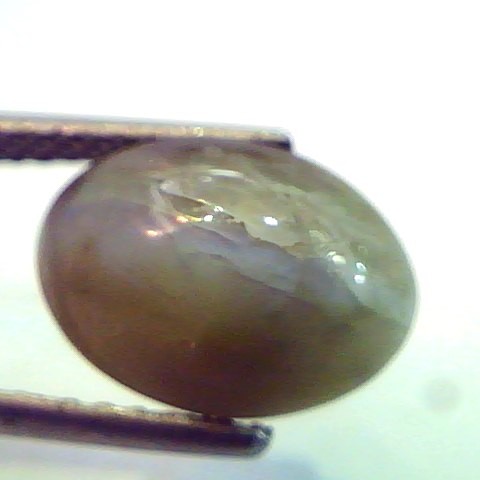 5.65 Ct Untreated Natural Chrysoberyl Cats Eye,Lehsunia Gemstone