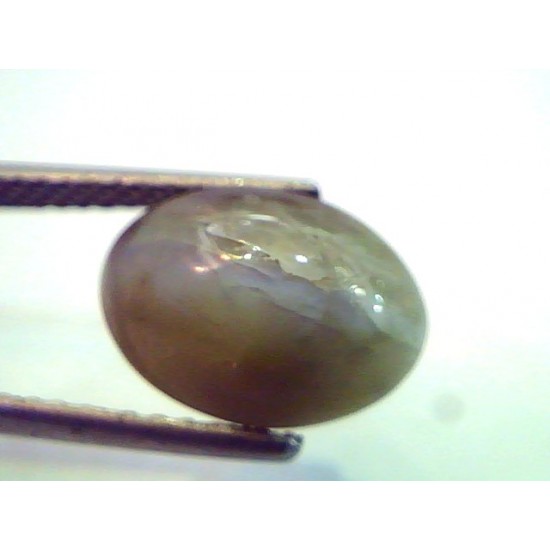 5.65 Ct Untreated Natural Chrysoberyl Cats Eye,Lehsunia Gemstone