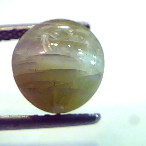 6.08 Ct Untreated Natural Chrysoberyl Cats Eye,Lehsunia Gemstone