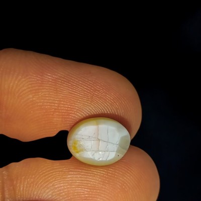 6.54 Ct Certified Untreated Natural Chrysoberyl Cats Eye Lehsunia 6.54 Ct Certified Untreated Natural Chrysoberyl Cats Eye Lehsunia