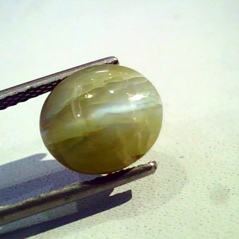 6.57 Ct Certified Untreted Natural Chrysoberyl Cats Eye,Lehsunia