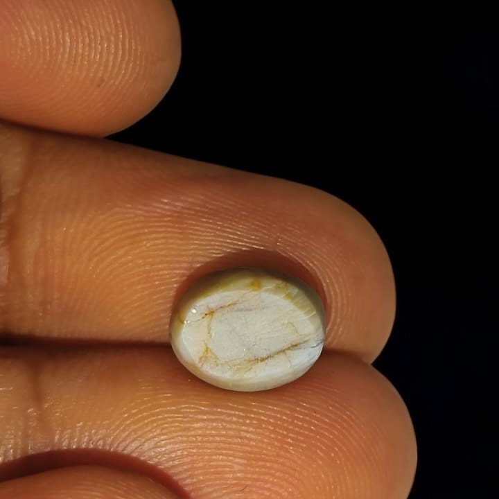 7.05 Ct Certified Untreated Natural Chrysoberyl Cats Eye Lehsunia 7.05 Ct Certified Untreated Natural Chrysoberyl Cats Eye Lehsunia