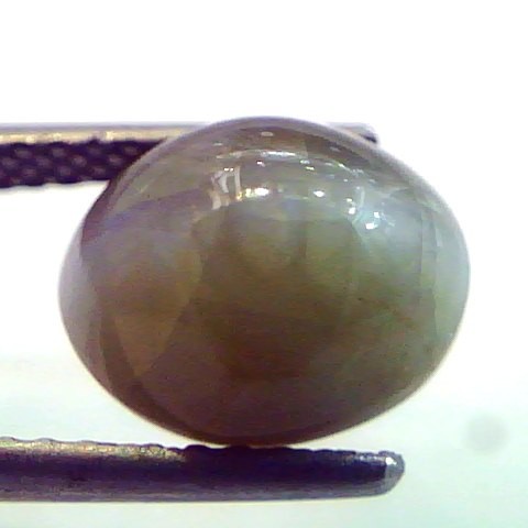 7.26 Ct Certified Untreted Natural Chrysoberyl Cats Eye,Lehsunia