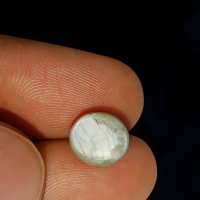 7.66 Ct Certified Untreated Natural Chrysoberyl Cats Eye Lehsunia 7.66 Ct Certified Untreated Natural Chrysoberyl Cats Eye Lehsunia