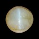 7.74 Ct Certified Untreated Natural Chrysoberyl Cats Eye Lehsunia