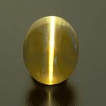 Cat's Eye-Lehsunia Cat's Eye-Lehsunia