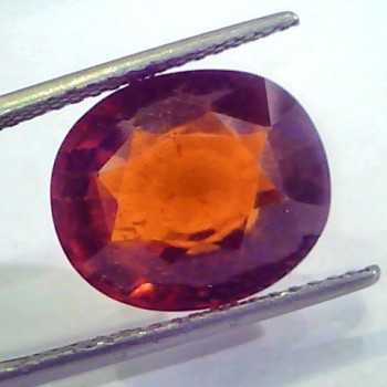 Huge 12.40 Ct Untreated Premium Natural Ceylon Gomedh/Hessonite