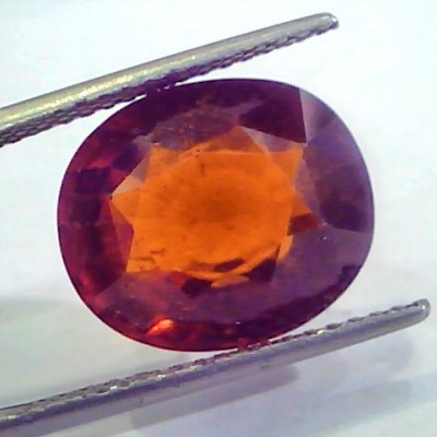 Huge 12.40 Ct Untreated Premium Natural Ceylon Gomedh/Hessonite