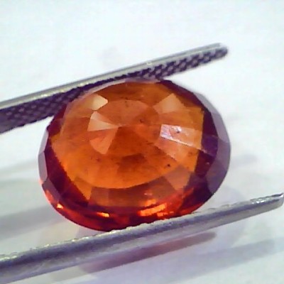 Huge 12.40 Ct Untreated Premium Natural Ceylon Gomedh/Hessonite