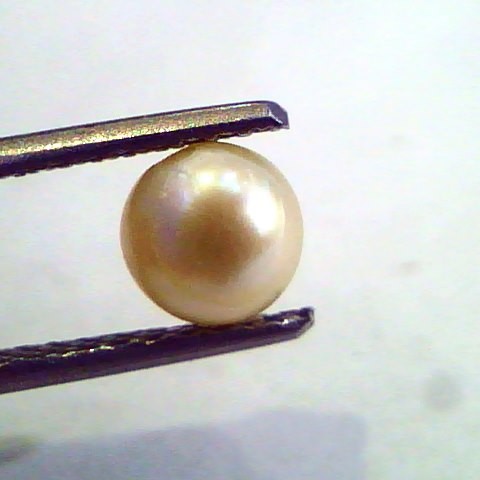 1.18 Carat Natural Certified Real South Sea Pearl,Certified Moti