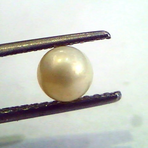 1.54 Carat Natural Certified Real South Sea Pearl,Certified Moti