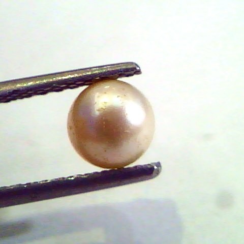 1.57 Carat Natural Certified Real South Sea Pearl,Certified Moti