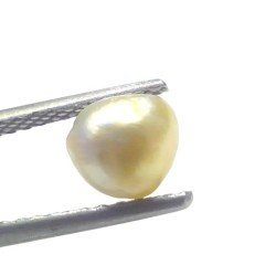 1.36 Ct Certified Natural Venunjula Real Sea Pearl Real Moti For Moon