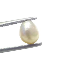 1.68 Ct Certified Natural Venunjula Real Sea Pearl Real Moti For Moon