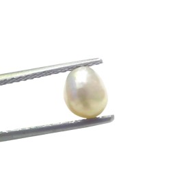 1.68 Ct Certified Natural Venunjula Real Sea Pearl Real Moti For Moon 1.68 Ct Certified Natural Venunjula Real Sea Pearl Real Moti For Moon