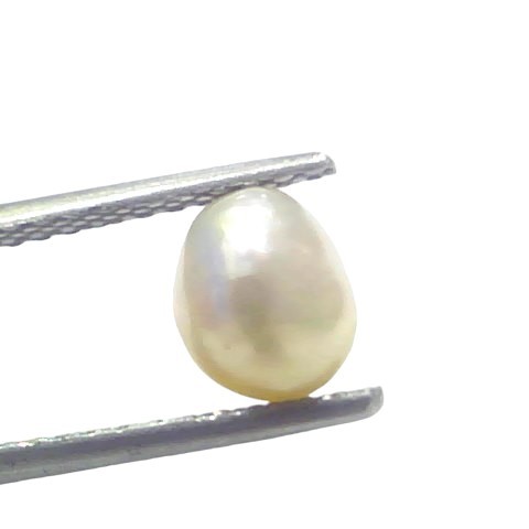 1.68 Ct Certified Natural Venunjula Real Sea Pearl Real Moti For Moon 1.68 Ct Certified Natural Venunjula Real Sea Pearl Real Moti For Moon