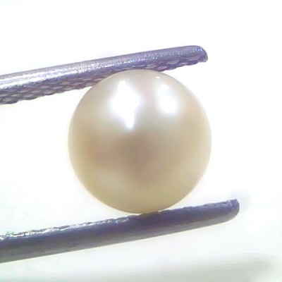 1.83 Ct 2.18 Chaw Natural Basra Pearl Real Basra Moti Certified