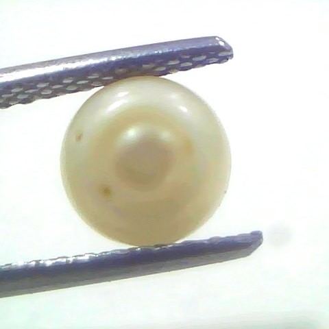 1.83 Ct 2.18 Chaw Natural Basra Pearl Real Basra Moti Certified
