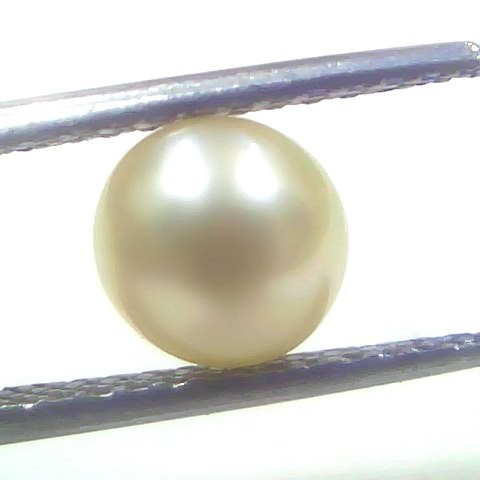 1.98 Ct 2.55 Chaw Natural Basra Pearl Real Basra Moti Certified