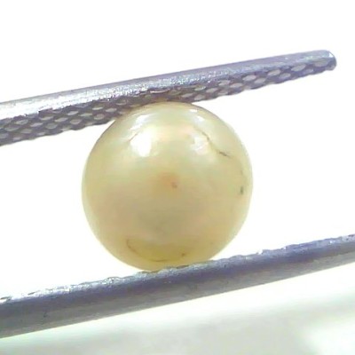 1.98 Ct 2.55 Chaw Natural Basra Pearl Real Basra Moti Certified