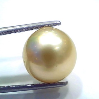 Huge 10.16 Ct Natural Certified Real South Sea Pearl Certified Moti