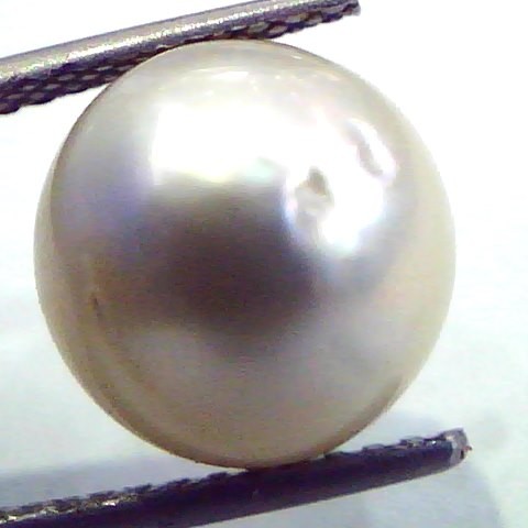 Huge 10.30 Carat Natural Certified Real South Sea Pearl,Certified Moti