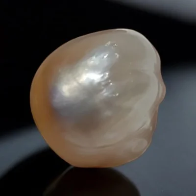 Huge Ct Certified Natural Real Venunjula Pearl,Real moti