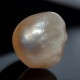 Huge 10.33 Ct Certified Natural Real Venunjula Pearl,Real moti