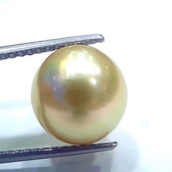 Huge 10.44 Ct Natural Certified Real South Sea Pearl Certified Moti