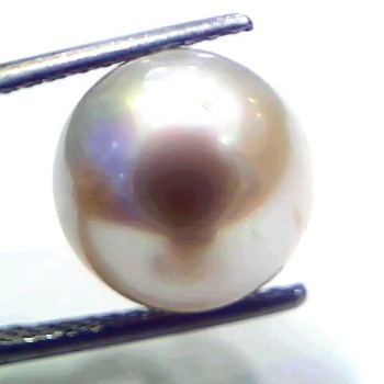 Huge 10.42 Ct Natural Certified Real South Sea Pearl Certified Moti