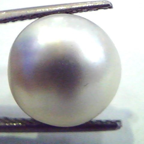 Huge 10.52 Carat Natural Certified Real South Sea Pearl,Certified Moti