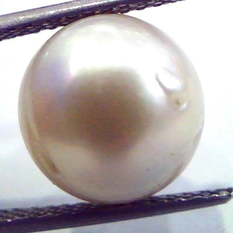 Huge 10.73 Carat Natural Certified Real South Sea Pearl,Certified Moti