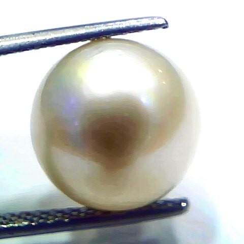 Huge 11.00 Ct Natural Certified Real South Sea Pearl Certified Moti