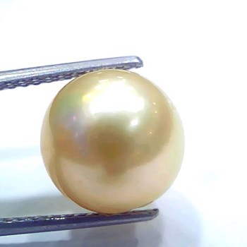 Huge 11.01 Ct Natural Certified Real South Sea Pearl Certified Moti