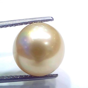 Huge 11.22 Ct Natural Certified Real South Sea Pearl Certified Moti